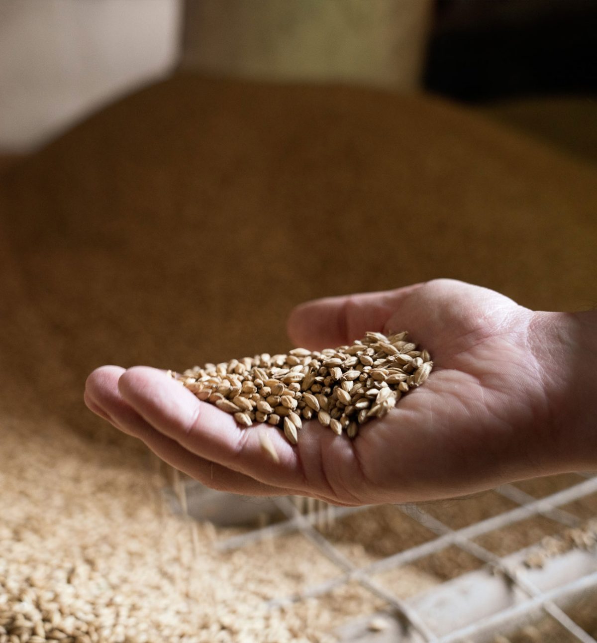 Types of Whiskey The West Cork Guide to Irish Whiskey