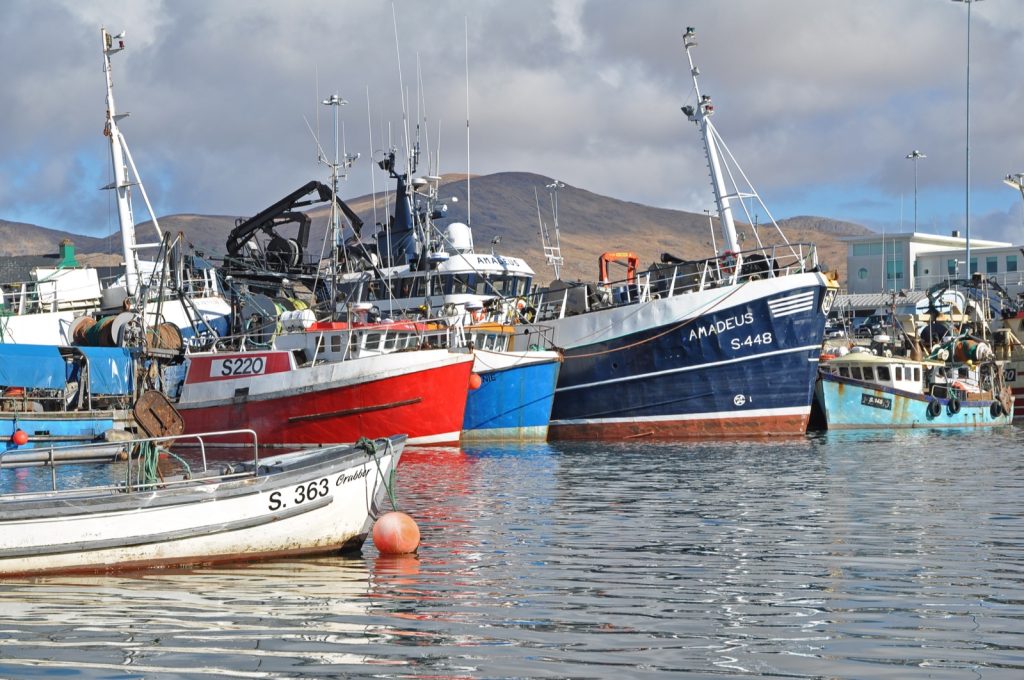 Fishing boats moored in Castletownbere harbour